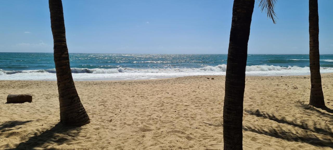 Trevily Porto Flats A 100M Da Praia Pôrto das Galinhas 외부 사진